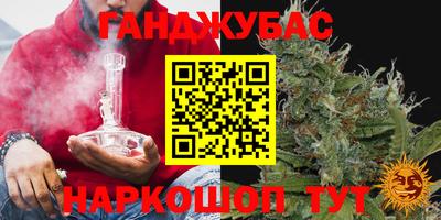 индика Волжский